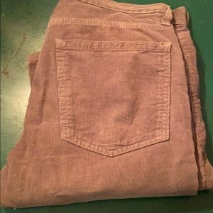 Splendid Mills moss color corduroys — slim 28x32